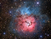 trifid1024